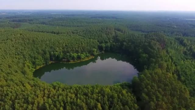 Jezioro Czarne Lubuskie – niezwykłe miejsce w sercu natury Jezioro Czarne Lubuskie – niezwykłe miejsce w sercu natury