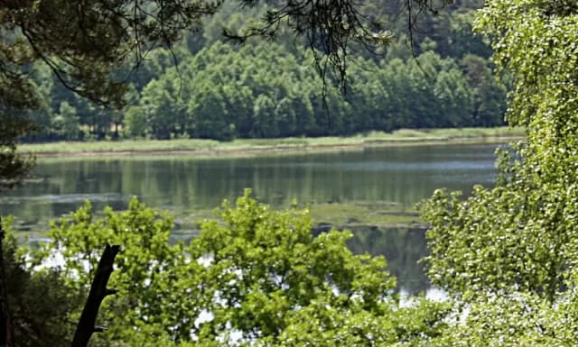 Jezioro Obrzańskie: piękne miejsce na wędkowanie i relaks w naturze Jezioro Obrzańskie: piękne miejsce na wędkowanie i relaks w naturze