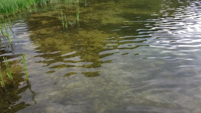 Jezioro Korytnickie – odkryj atrakcje i możliwości rekreacji Jezioro Korytnickie – odkryj atrakcje i możliwości rekreacji
