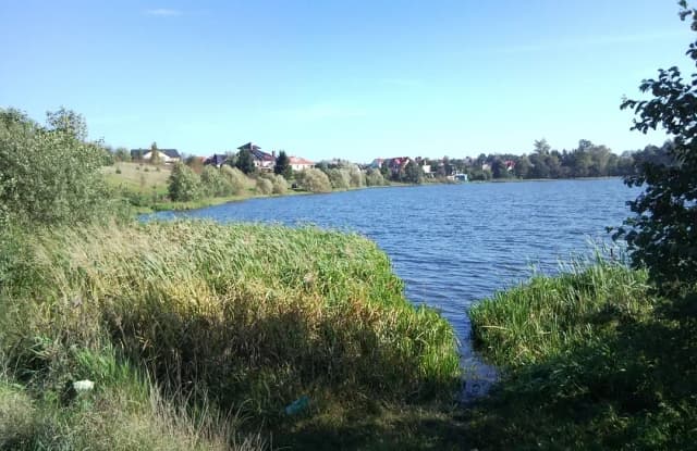 Jezioro Tuchomskie: piękne miejsce z ekologicznymi wyzwaniami i atrakcjami Jezioro Tuchomskie: piękne miejsce z ekologicznymi wyzwaniami i atrakcjami