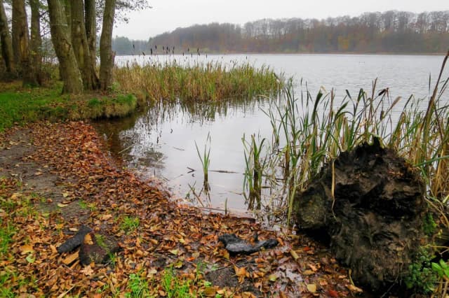 Jezioro Kczewskie: idealne miejsce na wędkowanie i relaks w naturze Jezioro Kczewskie: idealne miejsce na wędkowanie i relaks w naturze